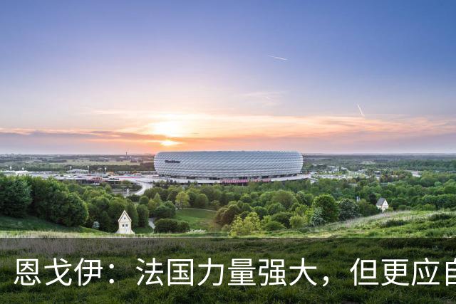 恩戈伊：法国力量强大，但更应自省不足